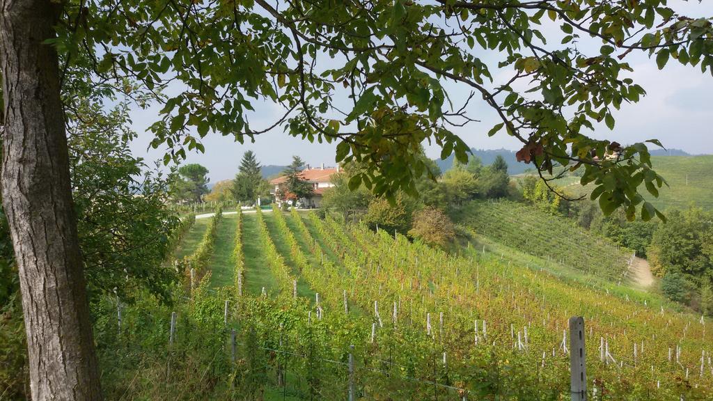 Cascina Torello Dogliani Exterior foto