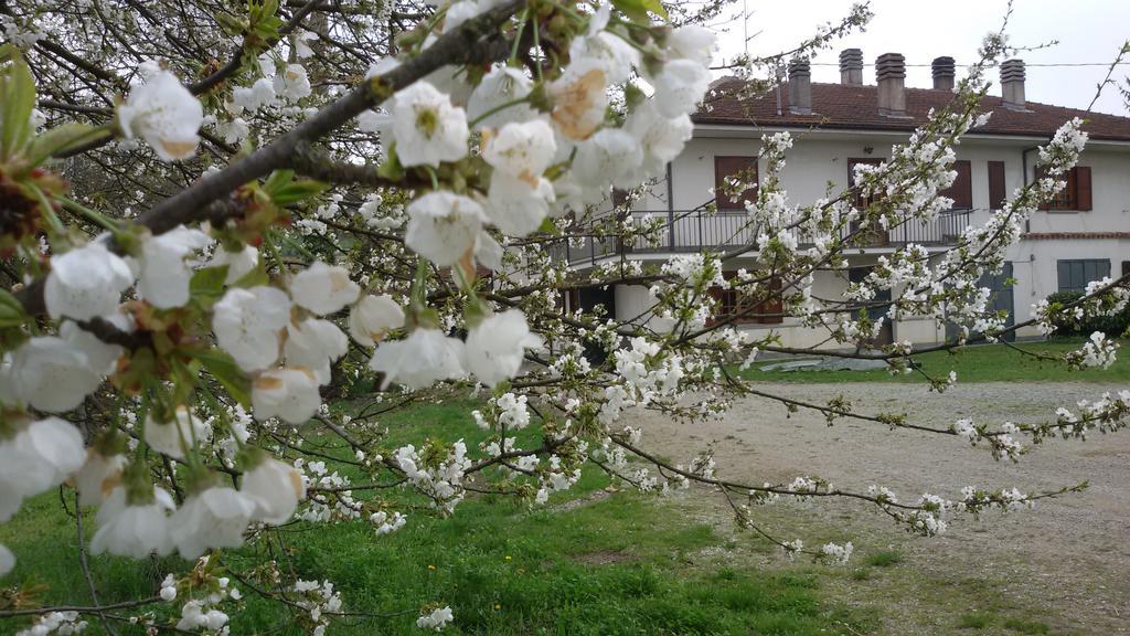 Cascina Torello Dogliani Exterior foto